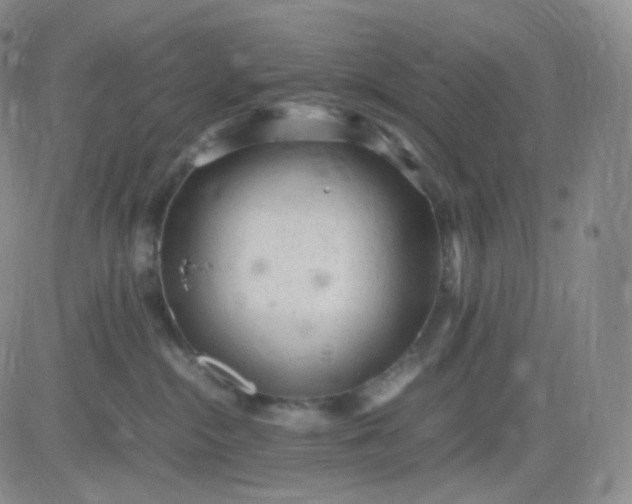 X0000083600284200702231754