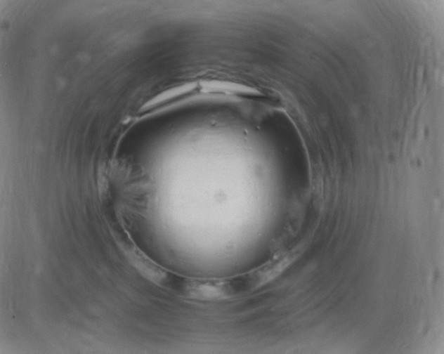 X0000083600285200702231754