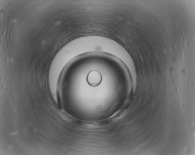 X0000083600286200702231754