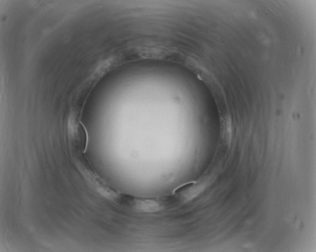 X0000083600287200702231754