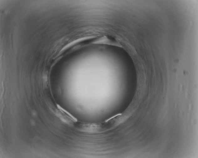 X0000083600288200702231754