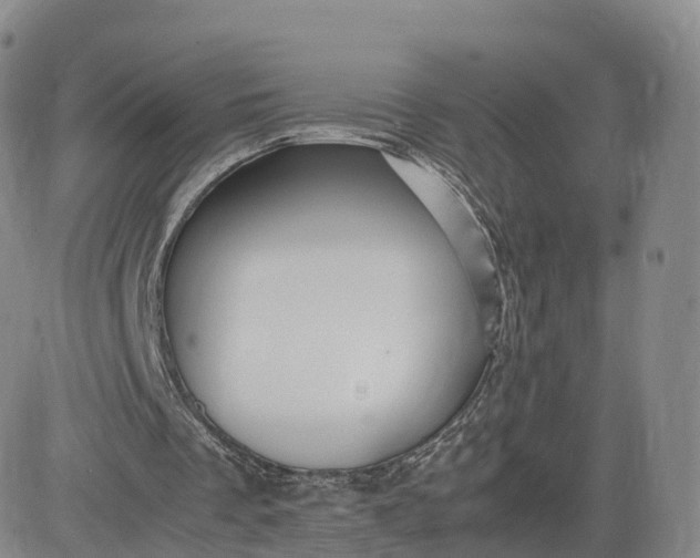 X0000083600289200702231753