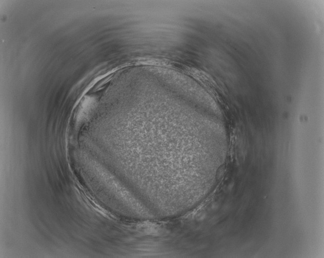 X0000083600290200702231753