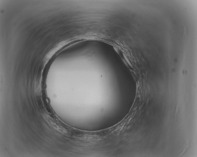 X0000083600292200702231753