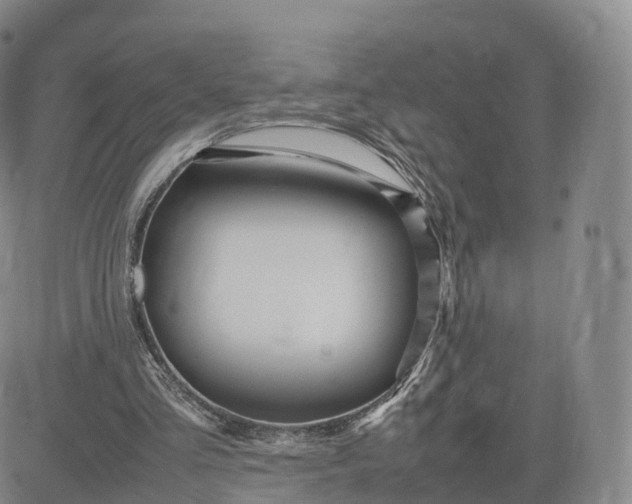 X0000083600293200702231753