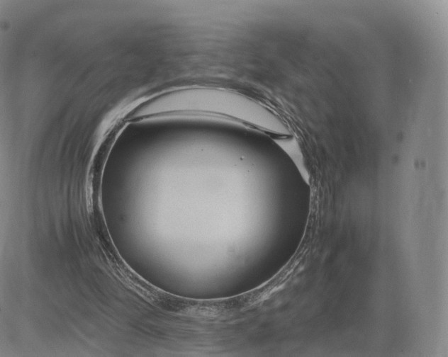 X0000083600294200702231753