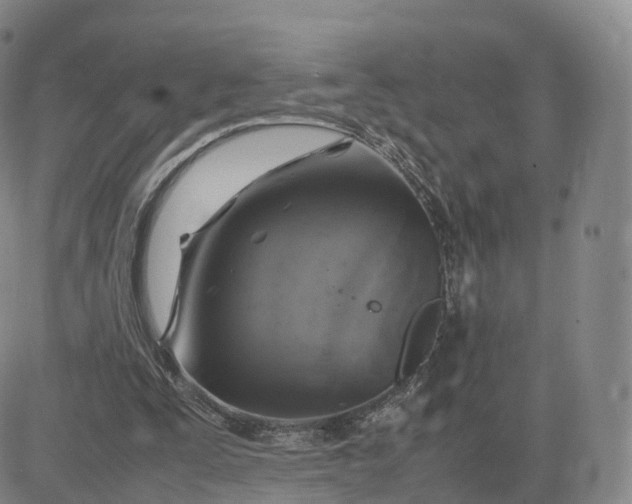 X0000083600295200702231753