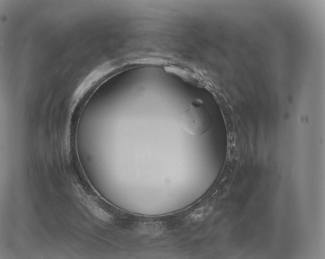 X0000083600296200702231753