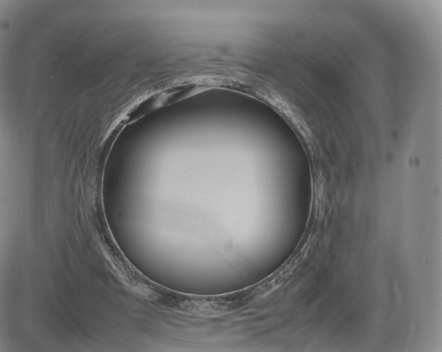 X0000083600297200702231753