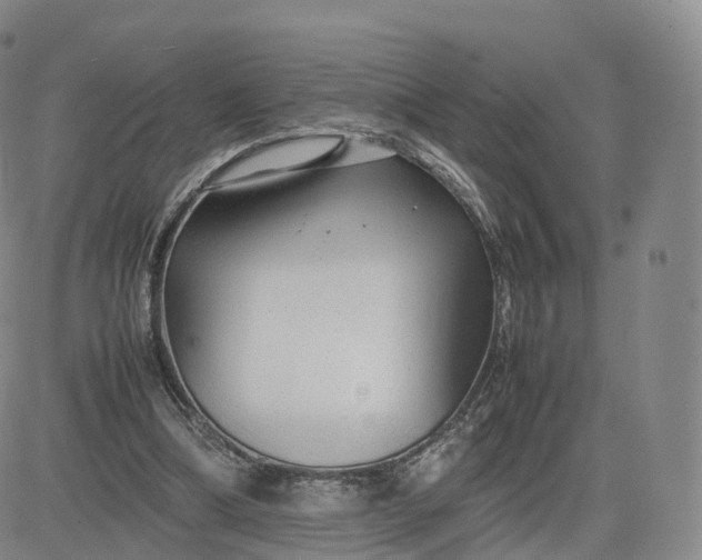 X0000083600298200702231753