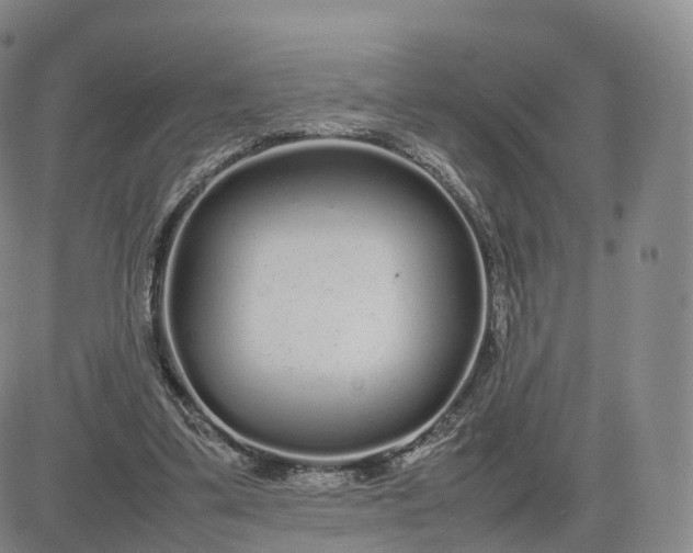 X0000083600299200702231753