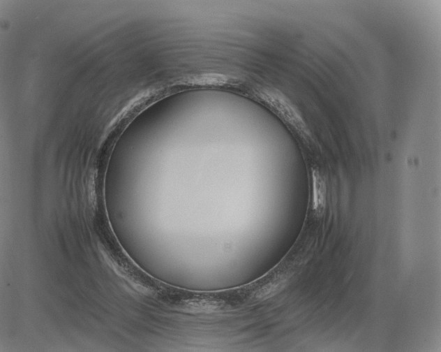 X0000083600300200702231753