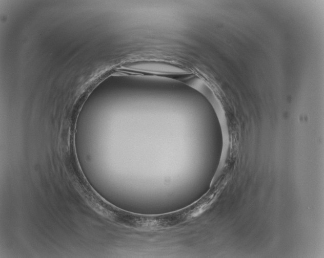 X0000083600301200702231753