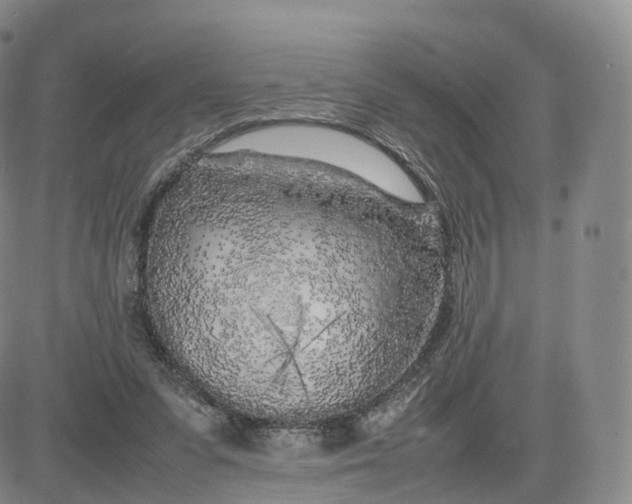 X0000083600303200702231753