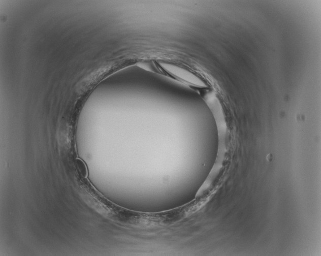 X0000083600305200702231753