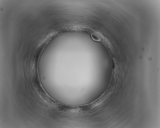 X0000083600306200702231753