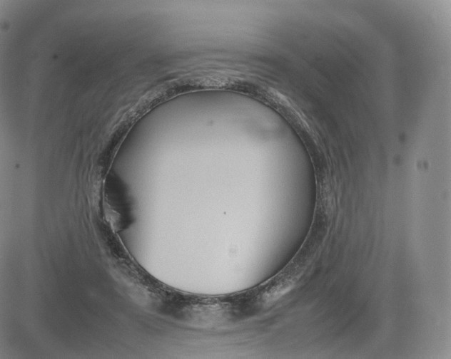 X0000083600307200702231753