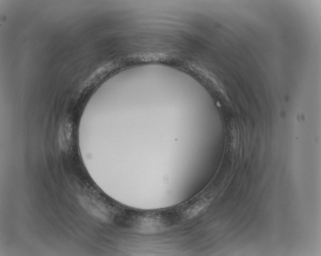 X0000083600308200702231753