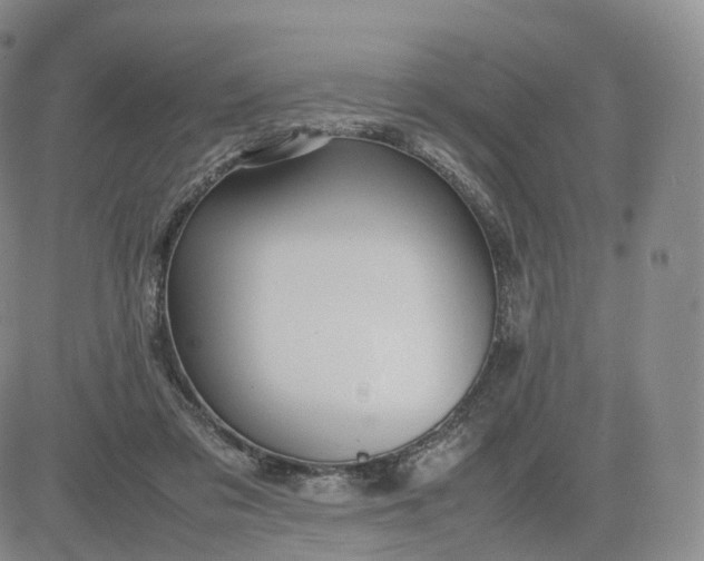 X0000083600309200702231753