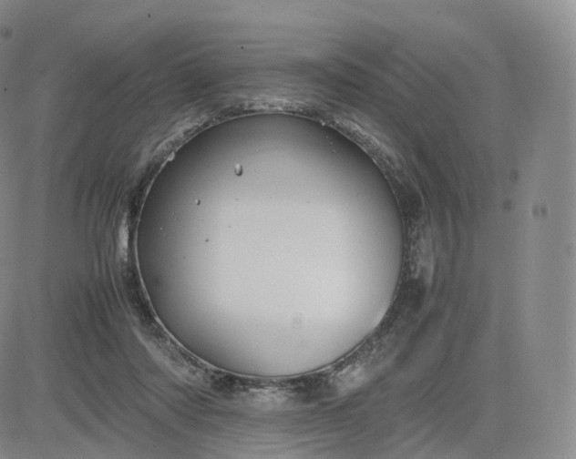 X0000083600310200702231753