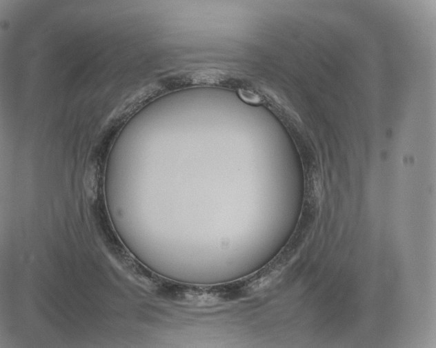 X0000083600311200702231753