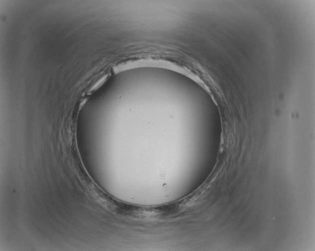 X0000083600313200702231753