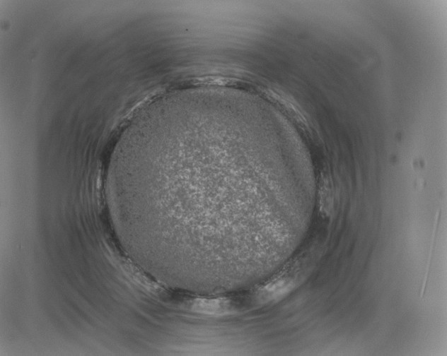 X0000083600314200702231753