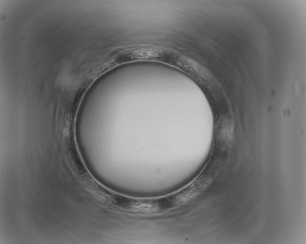 X0000083600315200702231753