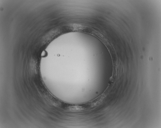 X0000083600316200702231753