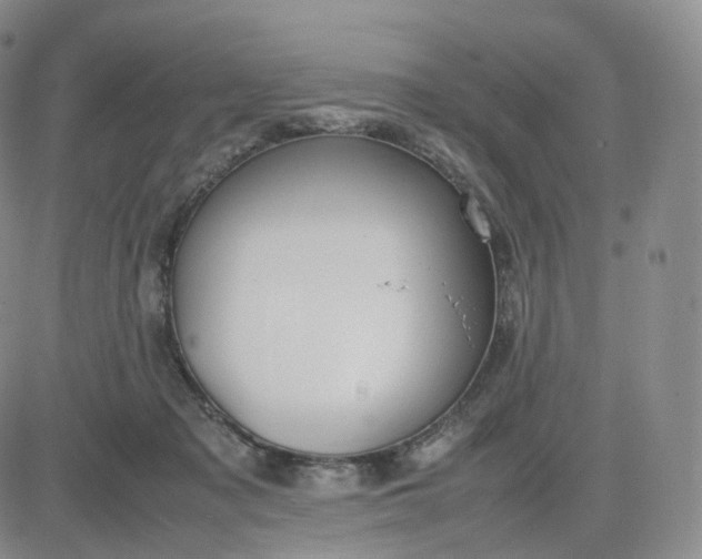 X0000083600317200702231753