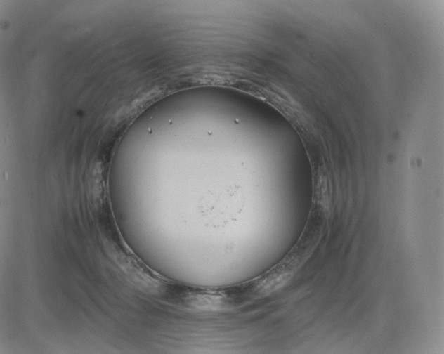 X0000083600318200702231753