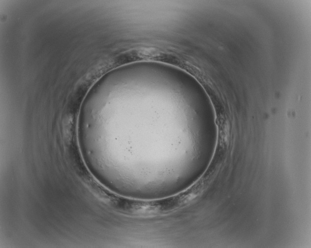 X0000083600319200702231753