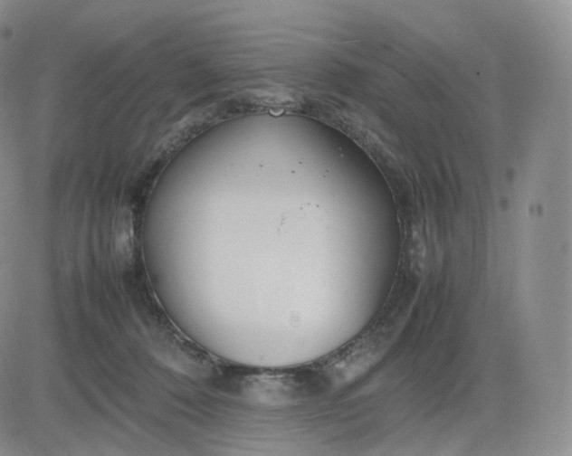 X0000083600320200702231753