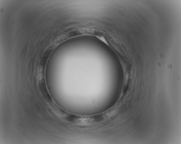 X0000083600323200702231753