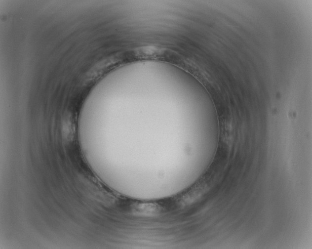 X0000083600324200702231753