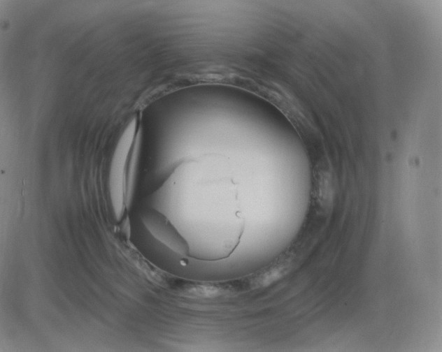 X0000083600326200702231753