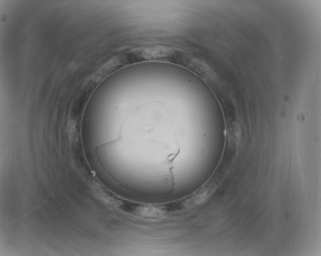 X0000083600327200702231753