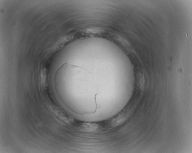 X0000083600328200702231753