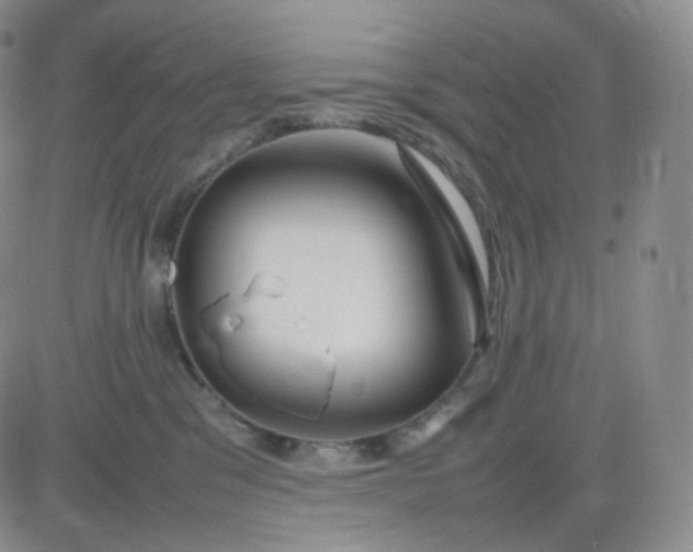 X0000083600329200702231753