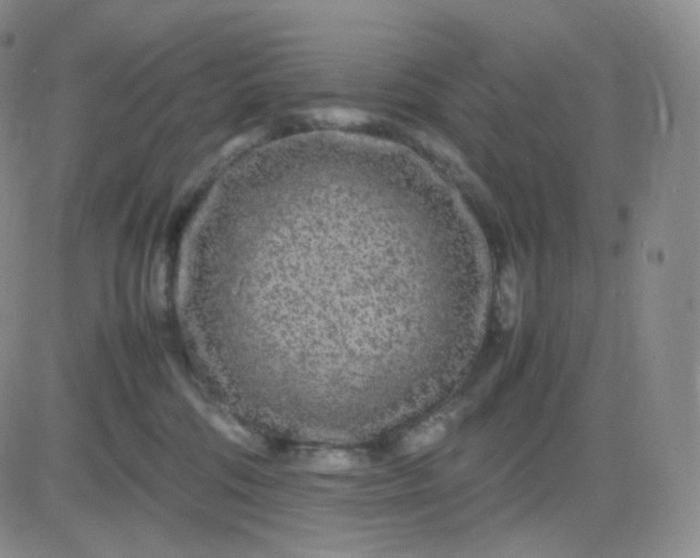 X0000083600330200702231753