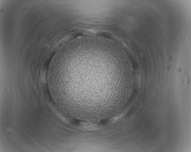 X0000083600331200702231753