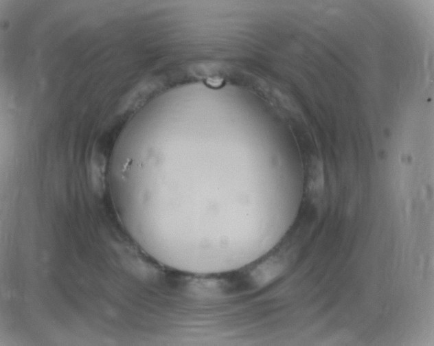 X0000083600332200702231753