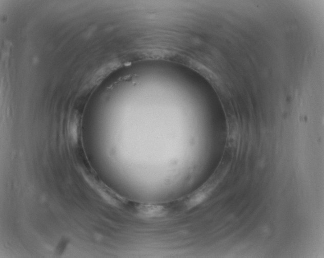 X0000083600334200702231753