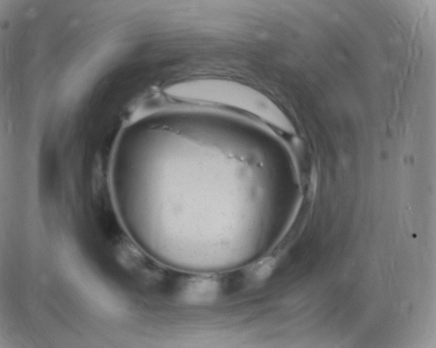 X0000083600335200702231753