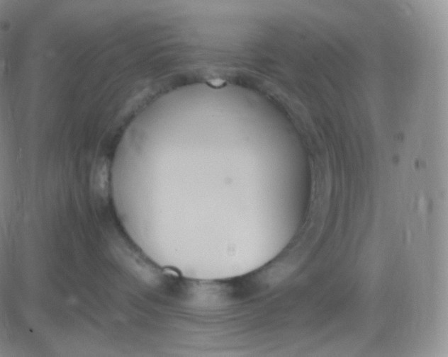 X0000083600336200702231753