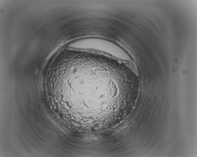 X0000083600347200702231752
