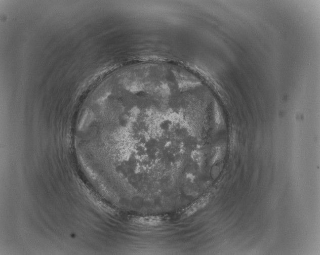 X0000083600353200702231752