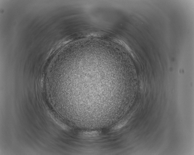 X0000083600357200702231752