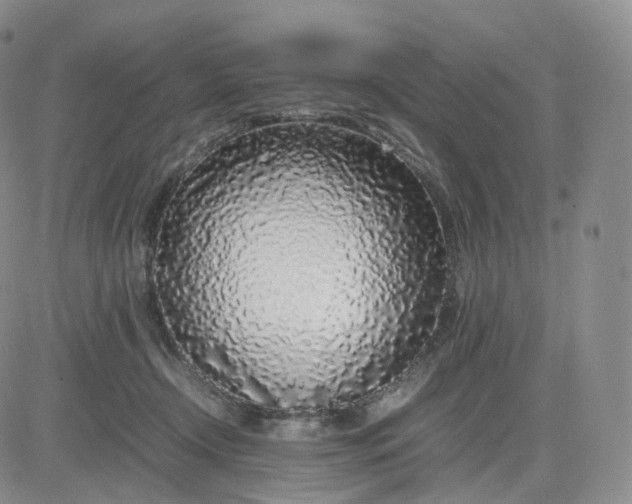 X0000083600366200702231752