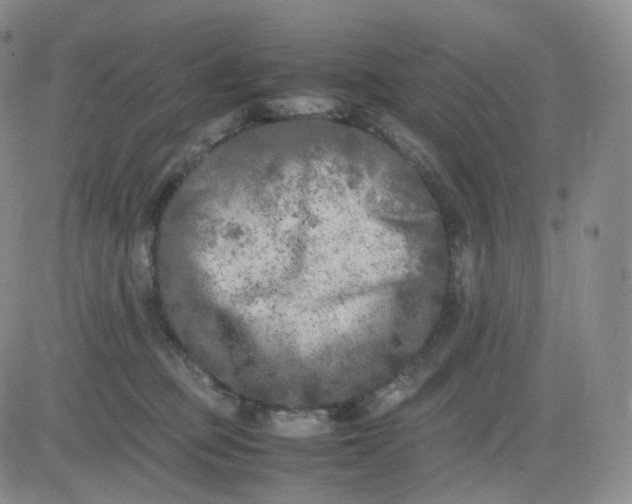 X0000083600373200702231752